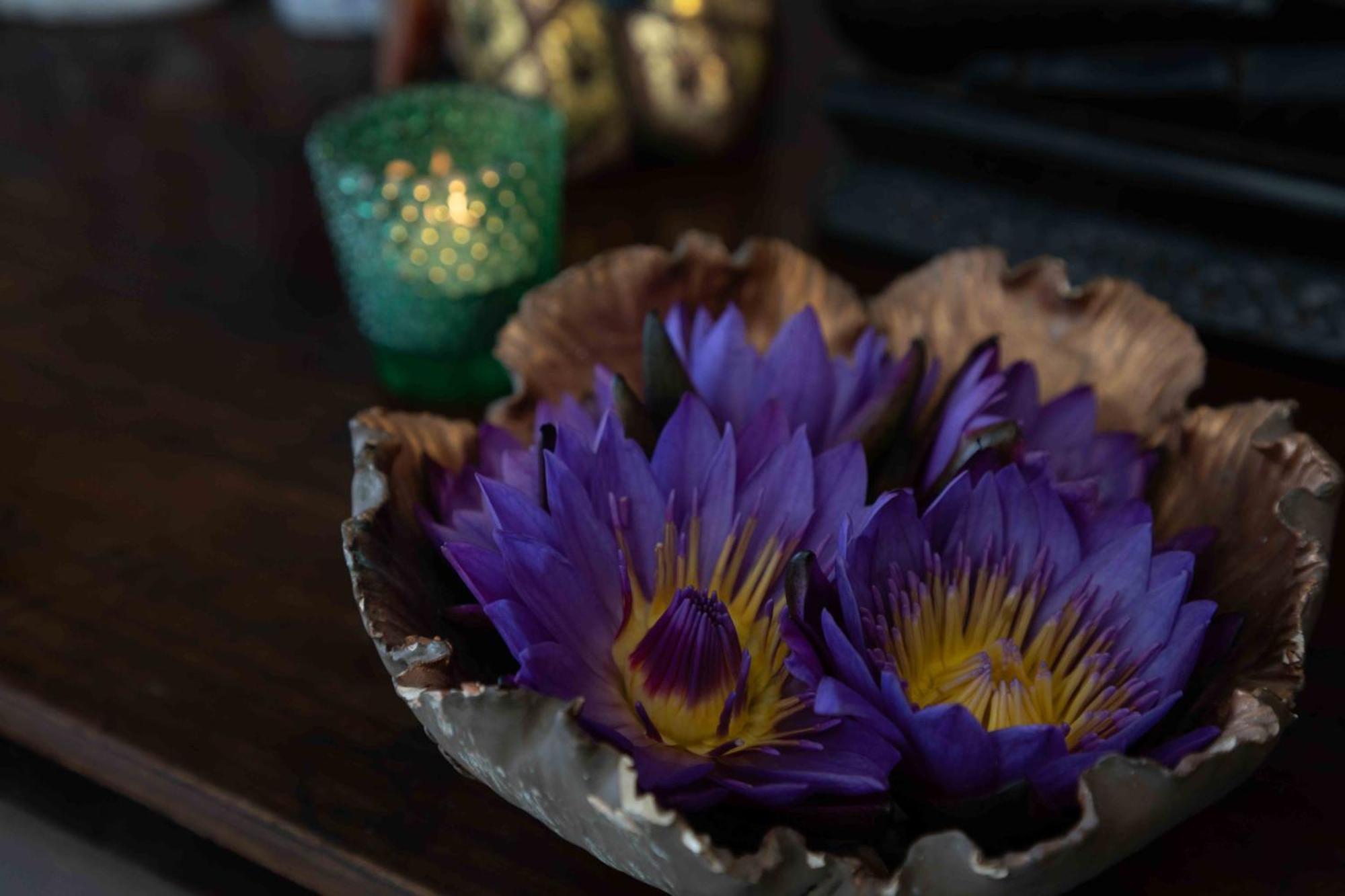 Lotus Colombo Guesthouse エクステリア 写真